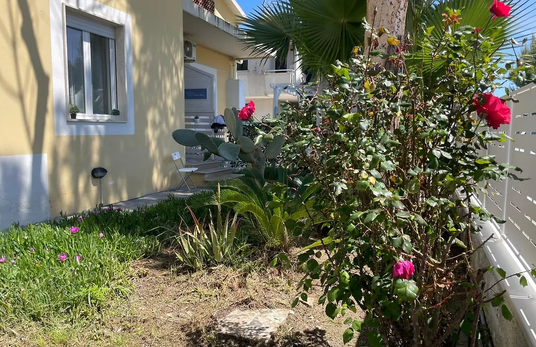 Beach House - Premium Villas-1